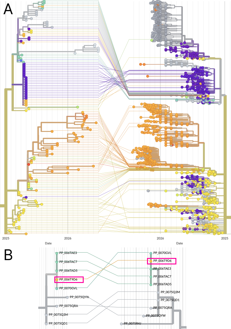 subsampled-tree-vs-full-tree